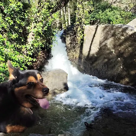 El Corazón De Gredos Ii Apartamento *