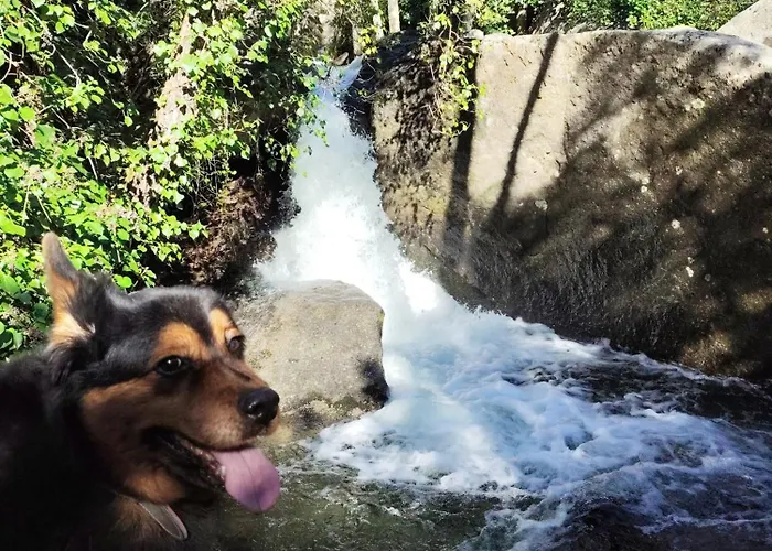 El Corazon De Gredos Ii Apartment *